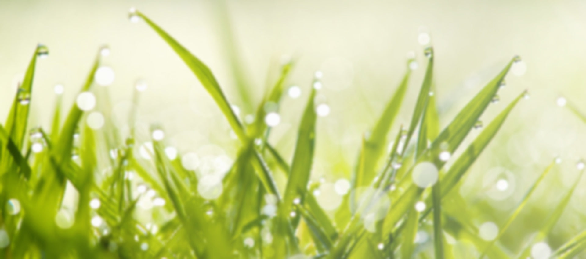 About – Flow Security Systems